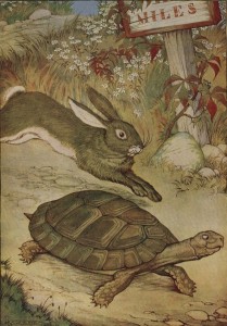 racconto e metafora - la tartaruga e la lepre